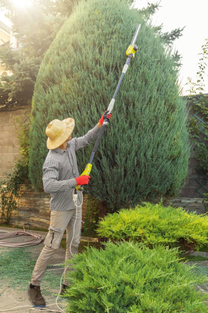 Best Lawn Watering Services  in Washington, MO